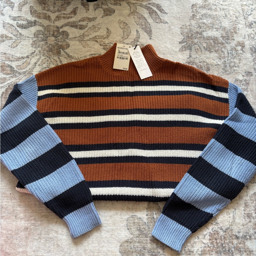 Treasure & Bond Brown and Blue Striped Sweater